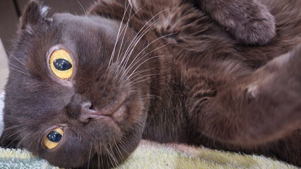 ��� ������, ���� ��������� ���� ������ � �����? �� ���� ����� ����� ���������� ������ �� �������� � ���������� �� ���� ���������� ��������