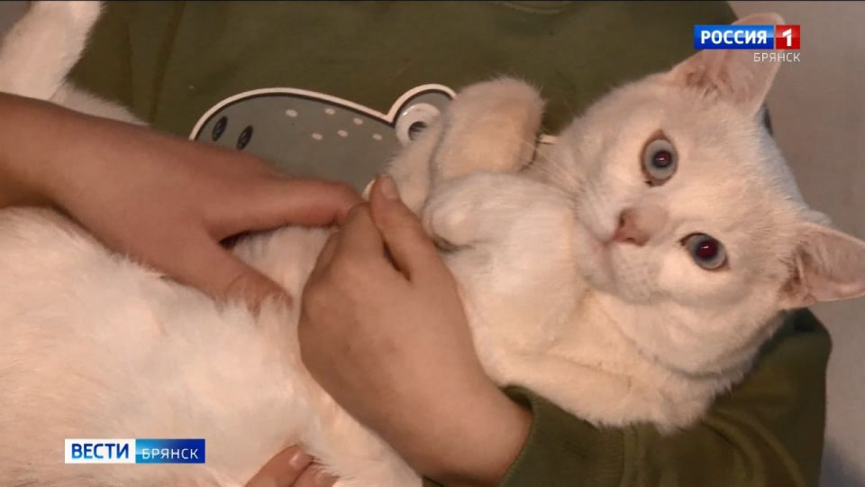 � ������� ��������� ��������� "����� �����" ������� ������� � �������� �� 15 ���