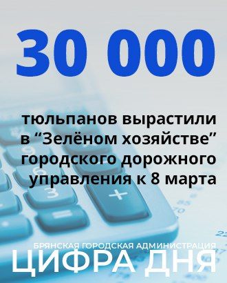 #�����_���. �������������� �� ����� ��� � ���