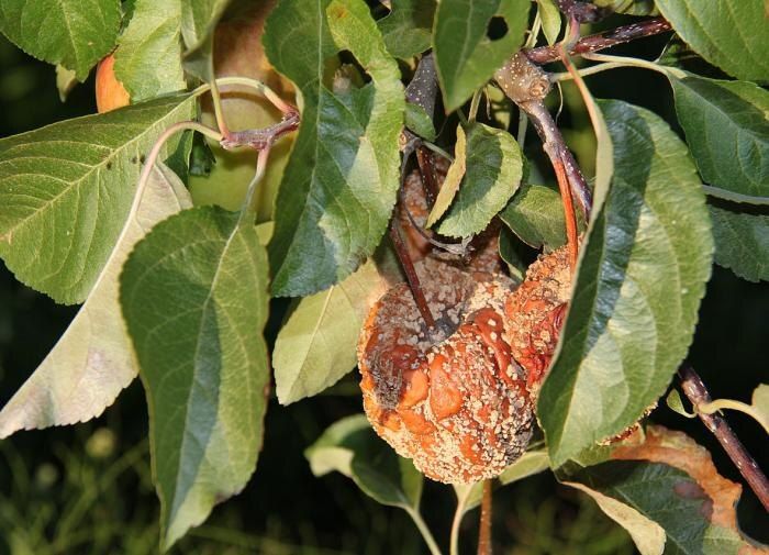 ��� ���������� � ������ ������ �� ������ � �������� ������