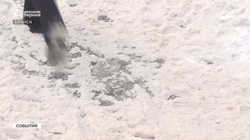 50 тыс. за грязь во дворах: брянским УК выписали штраф