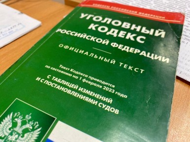 В городе Новозыбкове местный житель осужден за дачу взятки должностному лицу (ч. 2 ст. 291 УК РФ)