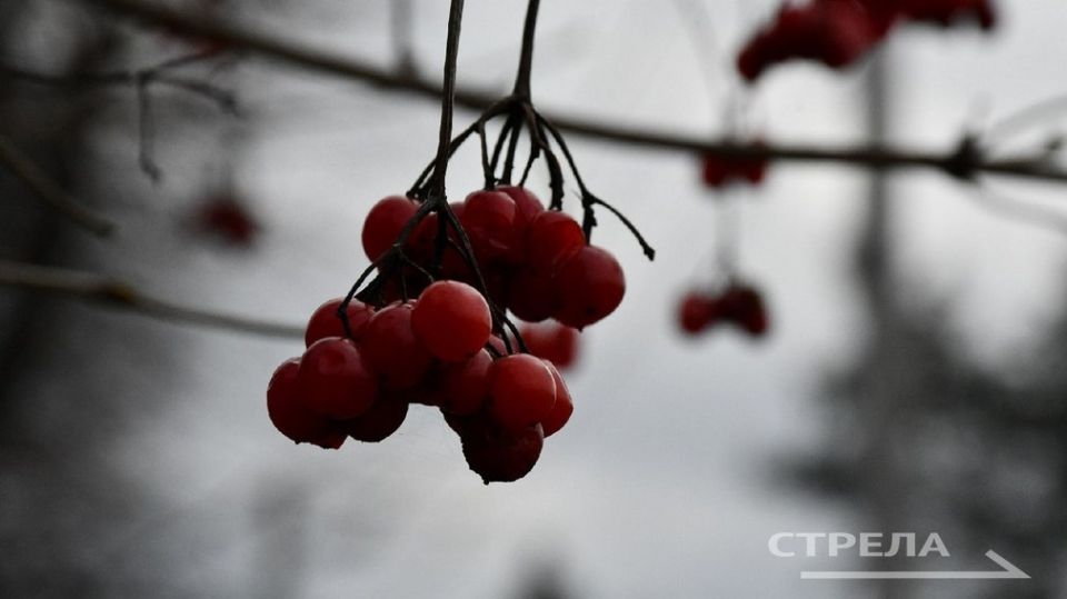 ������, 28 �������, �� ���������� �������� ������� ����� ������� � ������������