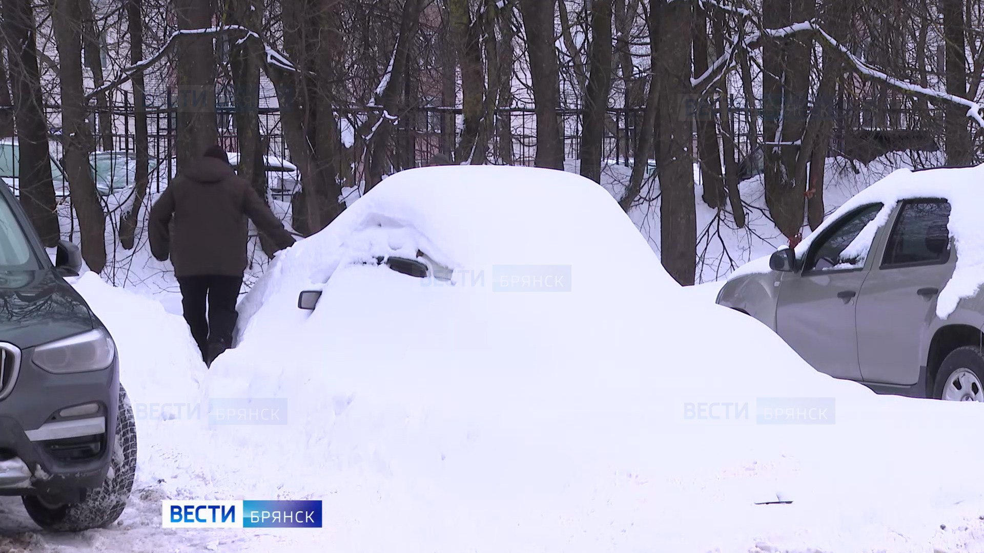 В брянских дворах вновь проблемы с парковкой из-за машин-подснежников