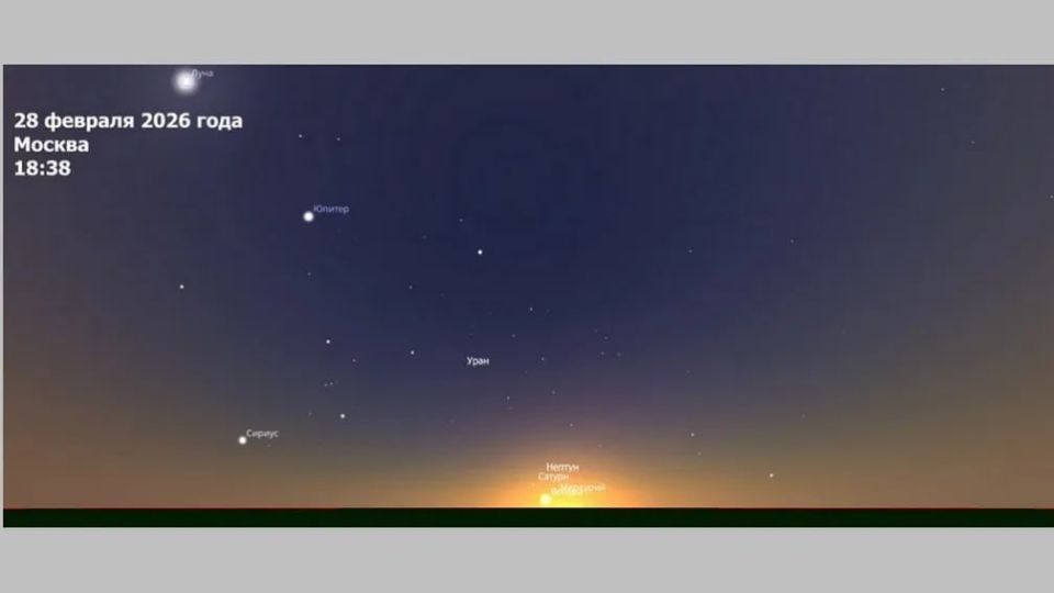 � ��������� ���� ���� ��������� ����� ��������������� �������