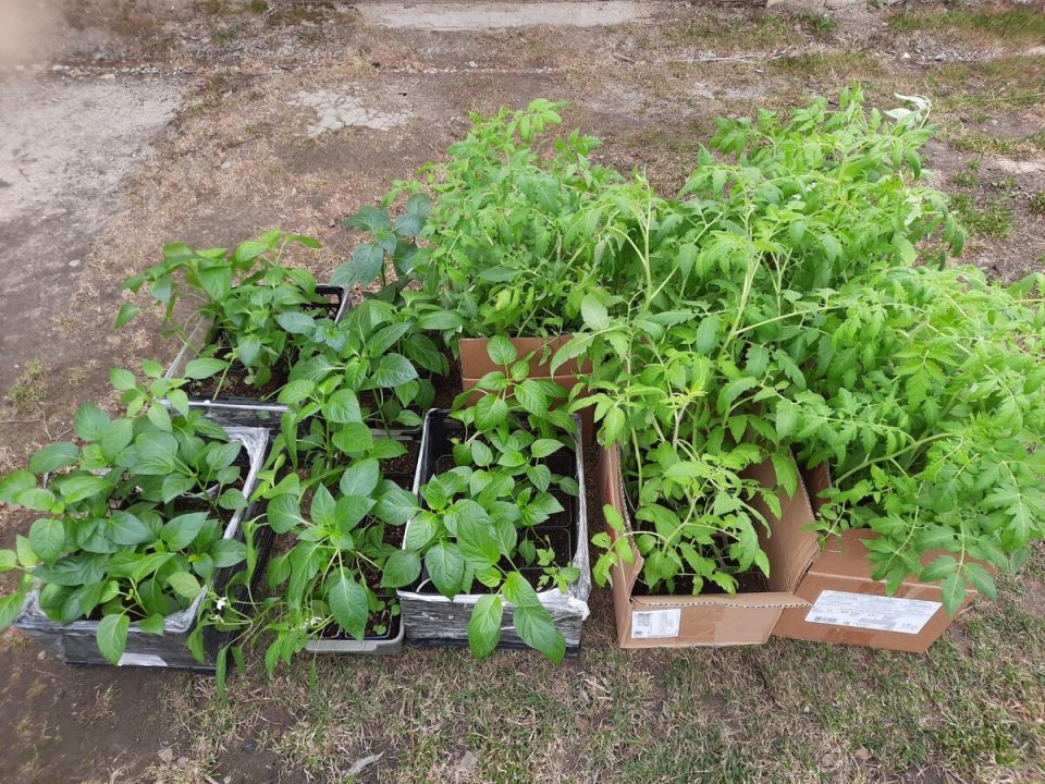 ����� � ��� ���������� ������� � ������������ �������