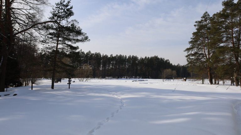 ������� ������ ���������� ������� ��-�� ������� ����