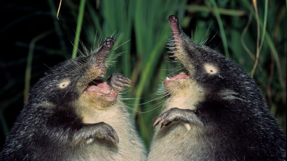 "��� ����� ��������": ������� ���������� � ������� � ������������ ���-��������