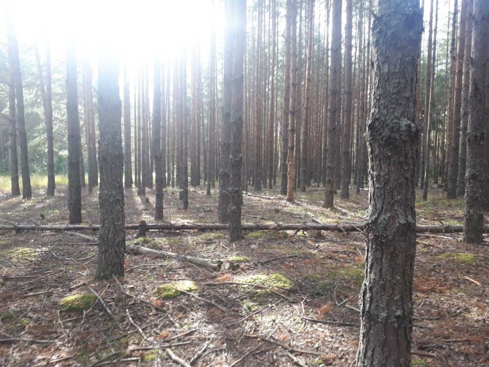 ������� �������: ��� �������� ������������� � ����