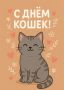 День Кошек. Сегодня особенный день — 1 марта, первый день весны и Международный день кошек! Этот праздник посвящен нашим пушистым друзьям, которые дарят нам тепло, уют и море позитивных эмоций каждый день
