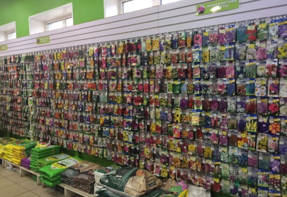 ��� ����������� �� ��������� �� �������� ������ ����������