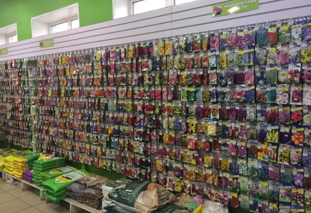 Как огородникам не попасться на семенные уловки мошенников