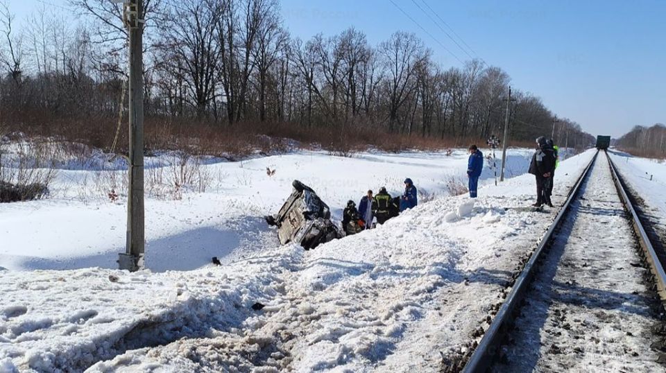 � ����������� ������ ���������� ����������� � �������� �������