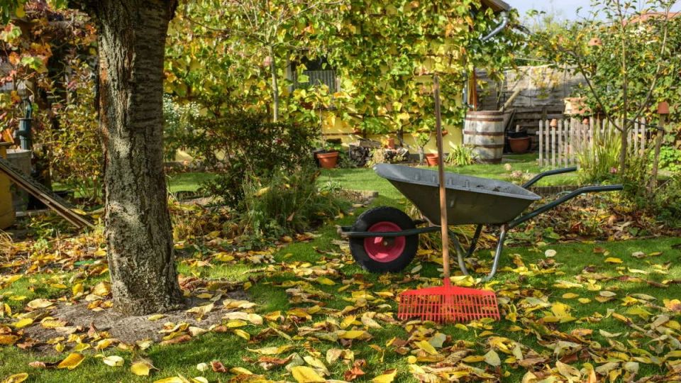 ������, ������� ����� ������ ������: ��� ��������� ����������� ������ � ����