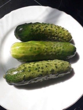 ������������ ������� ��������: ����� ������� ����� �� ����� �����