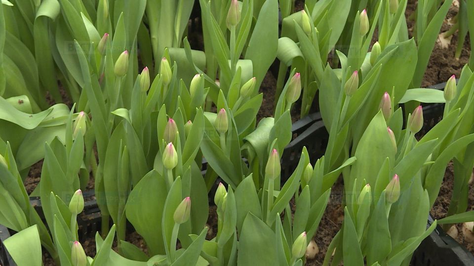 ��������� �� ��������� ��� ������ 8 �����