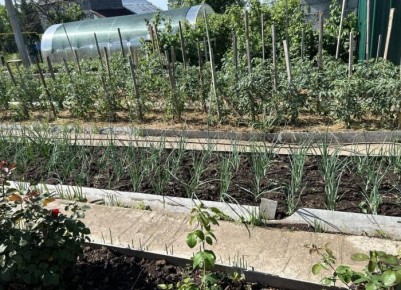 ��� ������� ����������� ������ �������: ������ � ������������