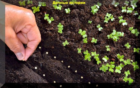 �������� ������� ��� ���������� ������ �������