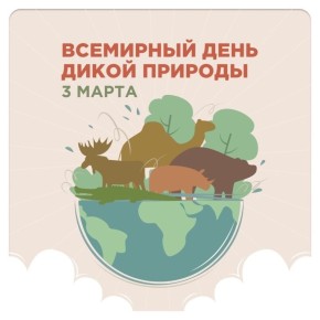 ��������� ���� ����� �������