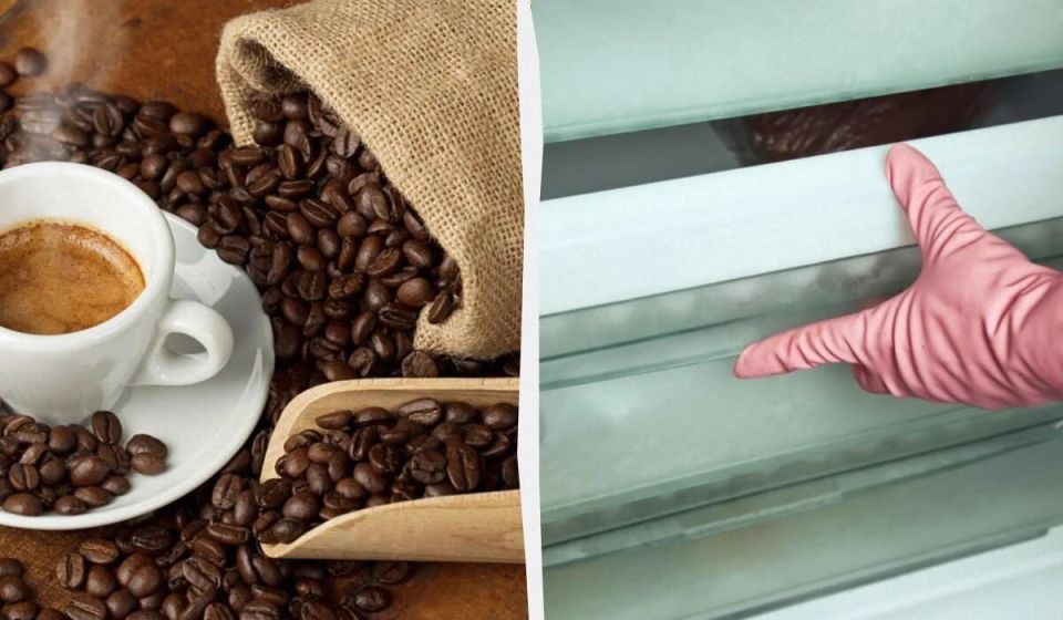 ��� ��������� ������ ����: ������� ������ �� ��������