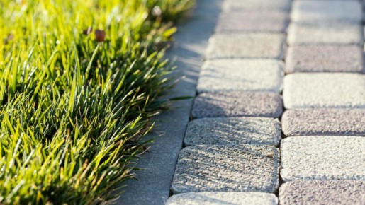 � ������ �������� ����������� ������������� "������� ��������"