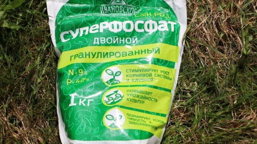 ��� ���������� �� ����������: ������ ���������������� ������������