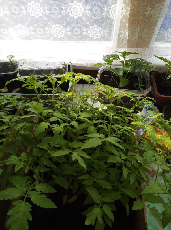 ����� ����� ���������� ������ � �������� ����� � ���?