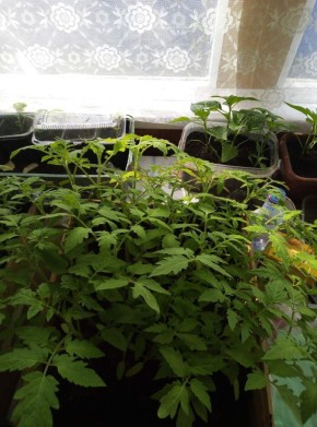 ����� ����� ���������� ������ � �������� ����� � ���?