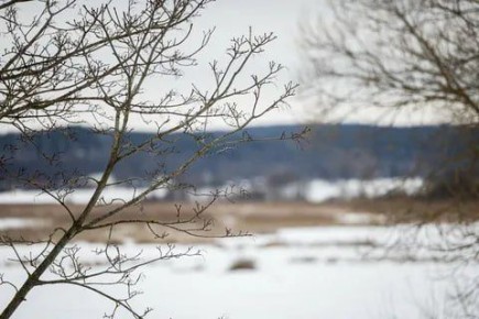 Доброе утро, жители и гости Новозыбковского городского округа!