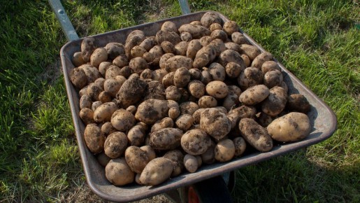 ������� �������� ������� ���������: ����� �������� ����� ���������� �����