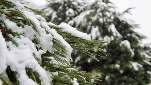 ��������� ������ � ���� ������� ����� ������������ � �������� ������� 5 �����