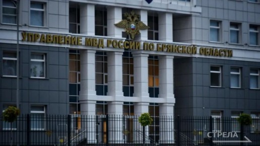 В Брянской области, как и во всей России, должностные оклады некоторых сотрудников МВД могут поднять на 7,6 процентов