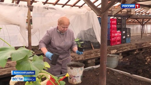 ����� ������: �������� �������� � ���������� �������� ����������� �������