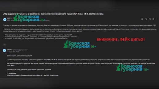 В редакции региона поступили письма якобы от «возмущенных родителей» лицея №2. Авторы просили журналистов обратить внимание на «ситуацию» с оплатой питания, ссылаясь на несуществующий приказ департамента