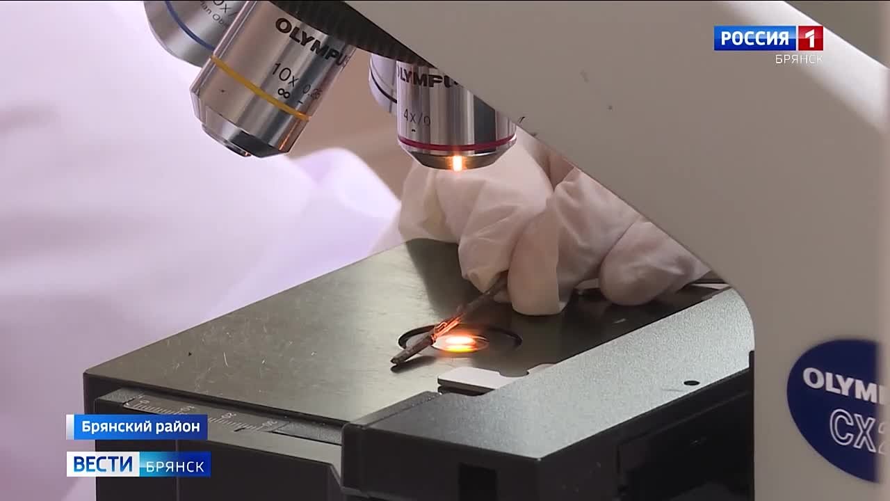 Весна близко: брянские садоводы и огородники начинают приобретать саженцы