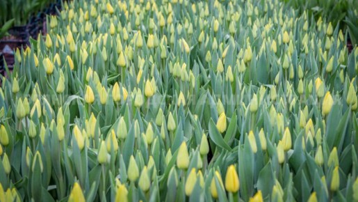 � ������� �������� 8 ����� ��������� ��������� ������