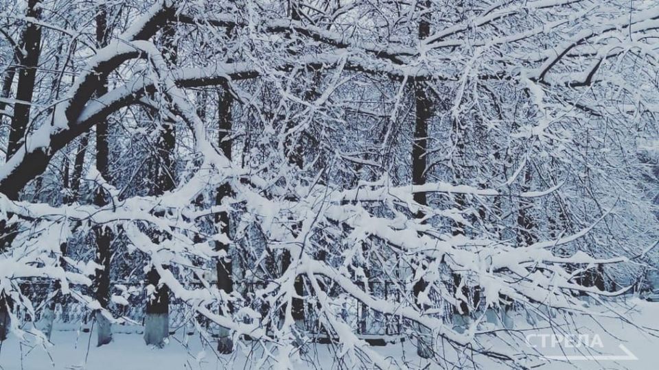 Завтра, 6 марта, на территории Брянской области будет облачно с прояснениями