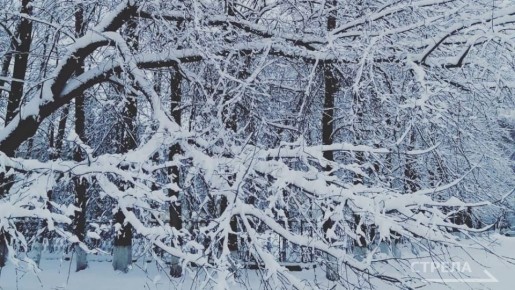 ������, 6 �����, �� ���������� �������� ������� ����� ������� � ������������