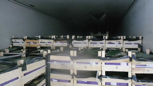 ������� �������� ������� �������� ��� ����������� ���� ����� �����������