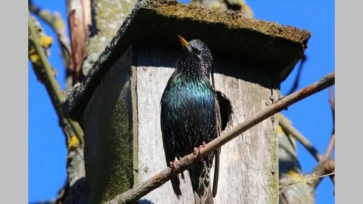 � ������� �������� ����������� ������ �������� �����, ������� �����, �������� ����� ��������, � ��� �������� �� ���������� ������� �����