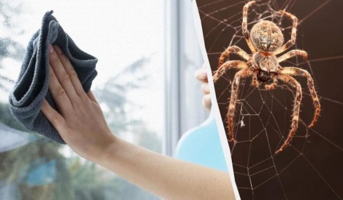 ������������ �������� ��� ������� ���� � ������ � �������