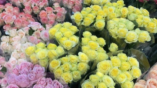 ��������, ���� � ������: ����� ����� ���� ����� �������� ������ 8 �����