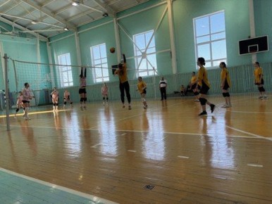 � ���������� ������ ������������ ��������� ������ ������� �. �. ���������