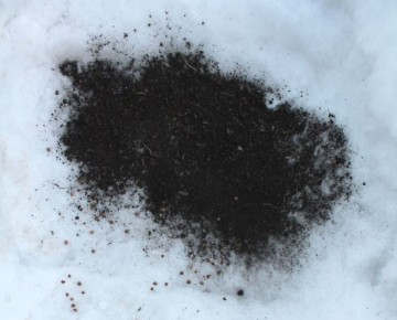 ��������� �������� �� �����: ��� �������� ������ � ����������� ����� � �����