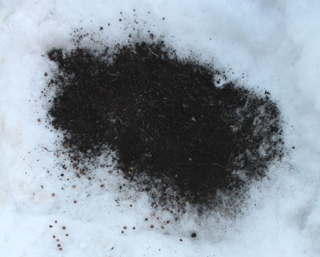 Подкормка растений по снегу: Как избежать ошибок и приготовить почву к весне