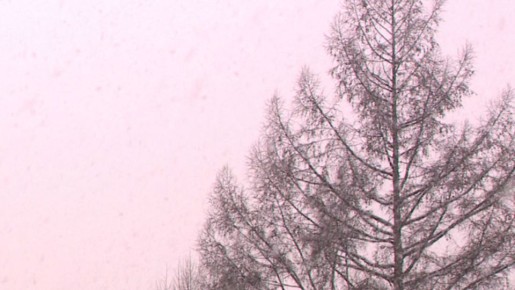 На Брянщине 17 марта прогнозируют небольшие осадки в виде дождя и мокрого снега