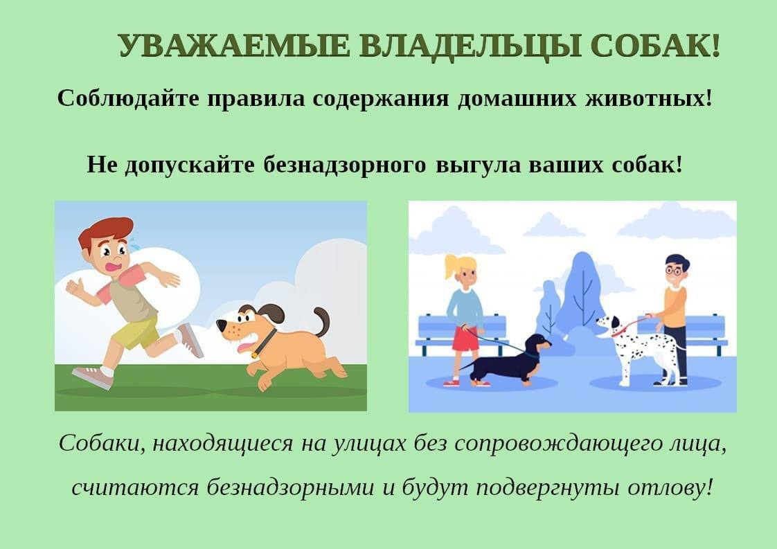 Уважаемые жители Стародубского муниципального округа!