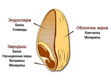 Почему мука высшего сорта может быть вредной для здоровья