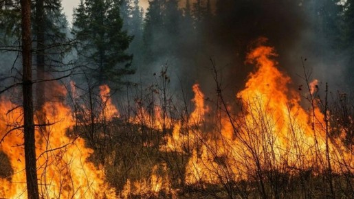 ��� ������� � �� ������� �� ������� ������ � ������� �� ���� ���������� ������