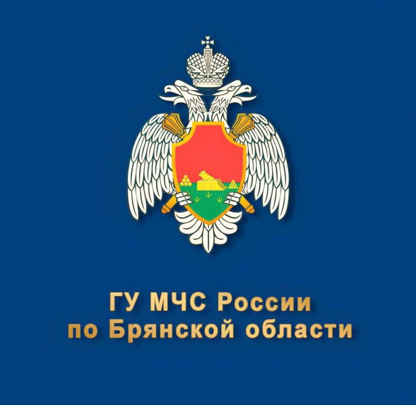 Подписывайся на новости Главного управления МЧС России по Брянской области в МАХ :